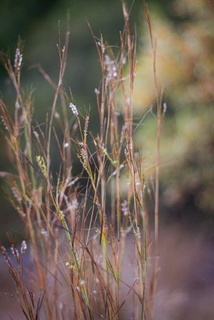 Subtle⁣ Elegance:‍ Soft Tones and ⁤Pastel ⁢Blends for a⁤ Chic look