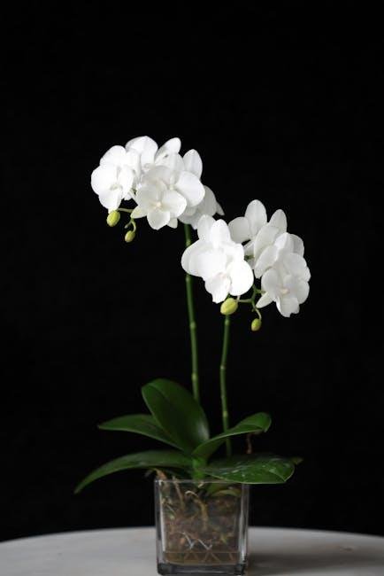 Understanding the Aesthetics: Key Characteristics of Subtle Elegance